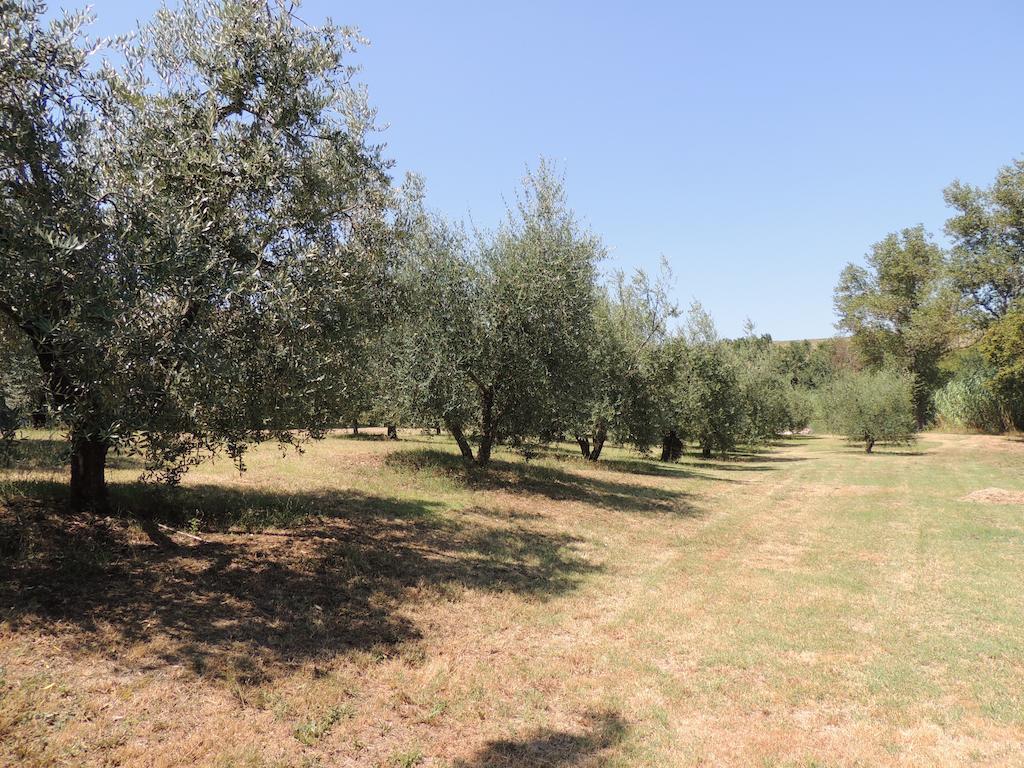 Podere Il Mulino Pieve di Santa Luce Exterior foto